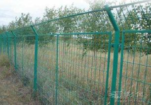 筑牢無形之盾 防護網的多元應用與深遠意義